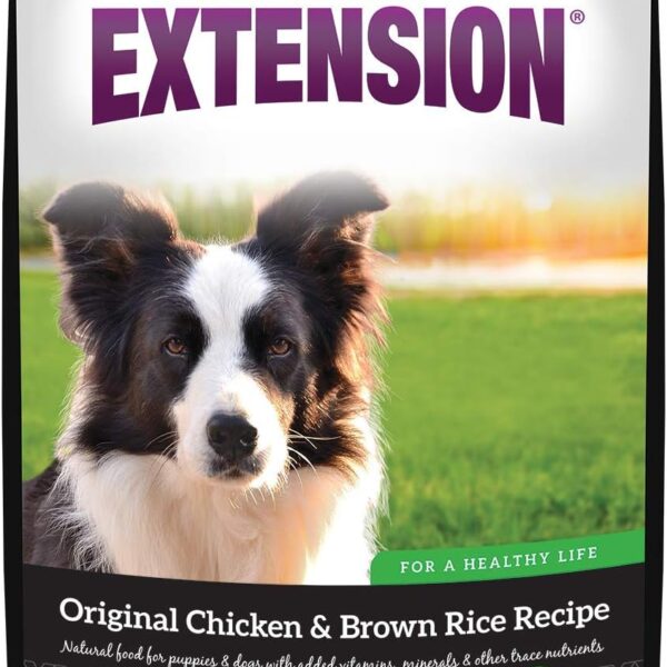 Health Extension Original Chicken & Brown Rice Dry Dog Food (4 lb / 1.81 kg) - Protein-Packed Formula with Probiotics, Omega 3 for Holistic Health in Dogs of All Life Stages ​