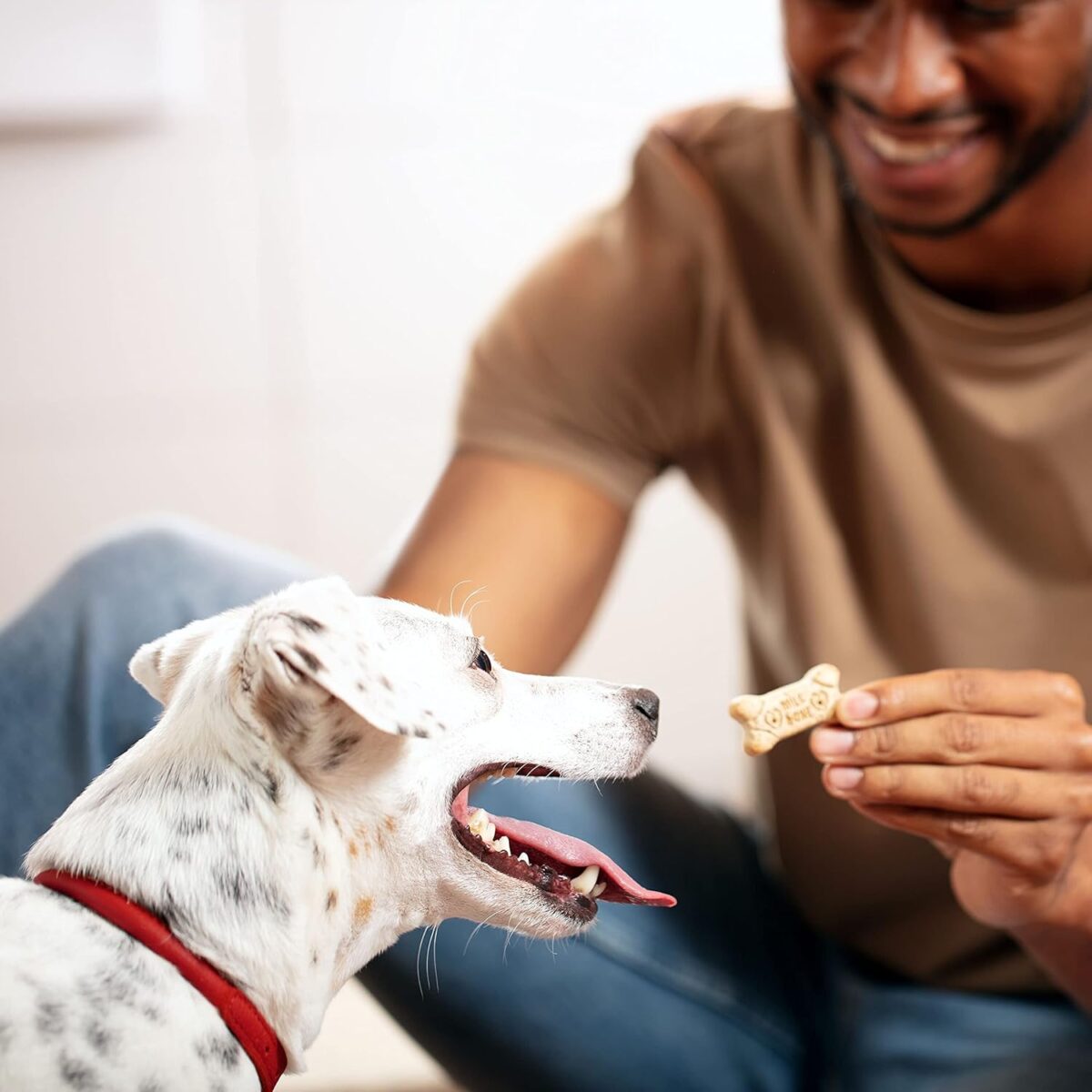 Milk-Bone Mini's Original Dog Biscuits, 15 Ounce (Pack of 6) - Image 6