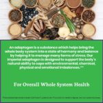 Paradise Herbs, Imperial Adaptogens, with Ashwagandha, Astragalus, Rhodiola, Proprietary Adaptogen Blend for Stress Support, Focus & Energy, 60 - Image 4