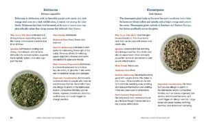 Herbal Medicine for Modern Life: Traditional Folk Remedies for Everyday Health and Well-Being - Image 6