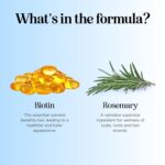 Rosemary and Biotin Shampoo for Thinning Hair - Vegan Volumizing Shampoo for Fine Hair with B Vitamins Argan Oil & Tea Tree Essential Oil - Paraben Silicone and Sulfate Free Vegan Formula (8 Fl Oz) - Image 5