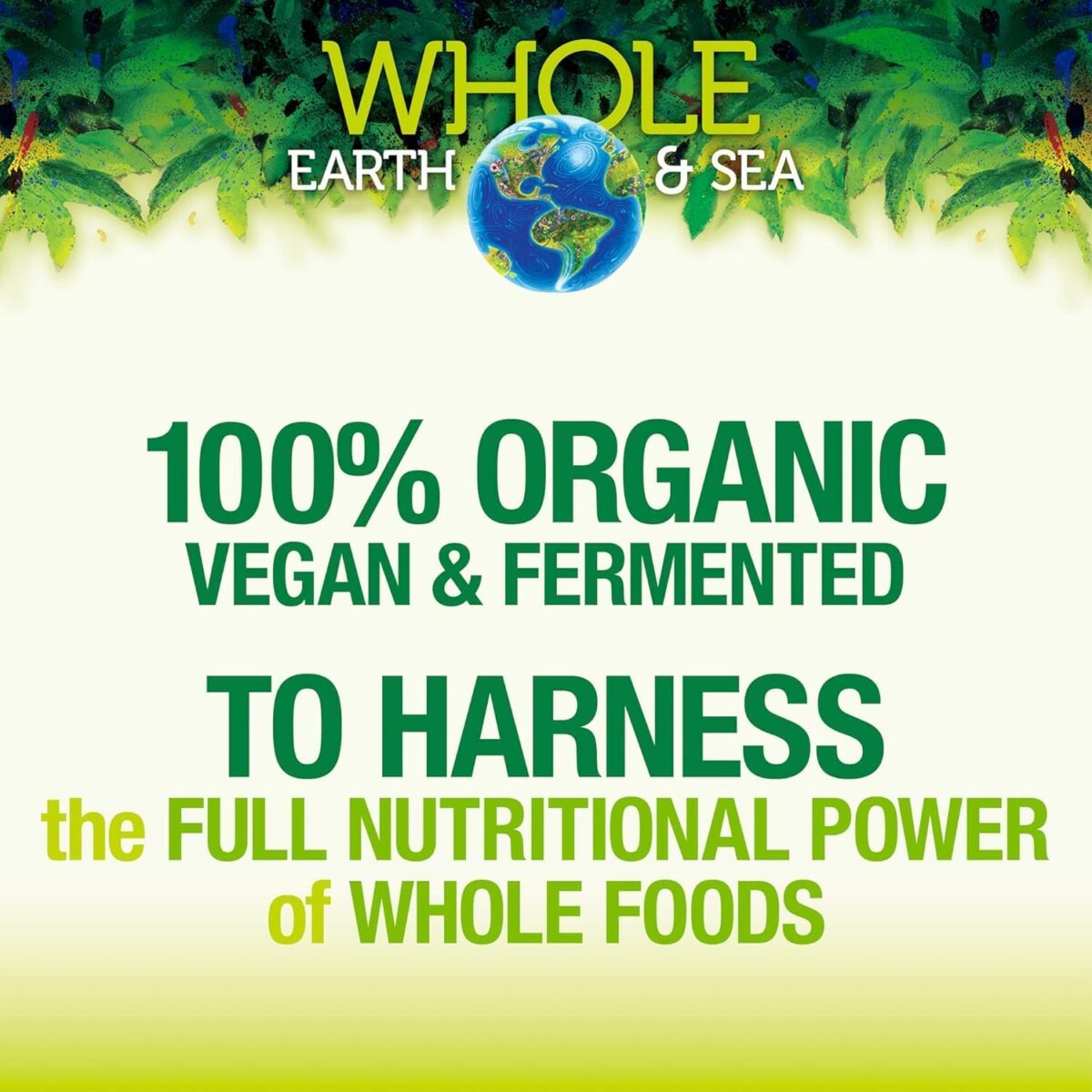 Whole Earth & Sea from Natural Factors, Organic Fermented Protein & Greens, Vegan Whole Food Supplement, Tropical, 1lb 7.3 Oz - Image 4