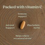 New Chapter® Vitamin C Immune Defense Supplement + Elderberry – Excellent Source of Vitamin C, One Daily Tablet for Healthy Immune Support, Made with Organic Herbs, Non-GMO, Gluten Free, 30 ct - Image 3