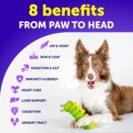 Dog Multivitamin Chewable with Glucosamine 20 in 1 - Dog Vitamins and Supplements - Senior & Puppy Multivitamin for Dogs - Pet Joint Support Health - Immunity, Mobility, Gut Skin - 120 Chews - Image 3