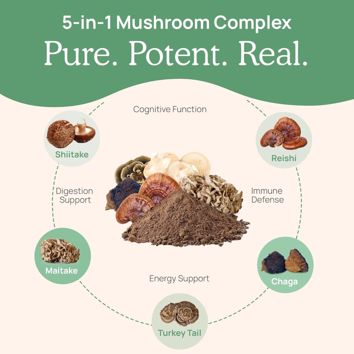 Real Mushrooms 5 Defenders Capsules - Organic Mushroom Extract w/Chaga, Shiitake, Maitake, Turkey Tail, Reishi Supplement for Focus, Immune Support Vegan, Non-GMO, 90 Caps - Image 4