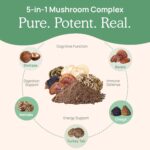 Real Mushrooms 5 Defenders Capsules - Organic Mushroom Extract w/Chaga, Shiitake, Maitake, Turkey Tail, Reishi Supplement for Focus, Immune Support Vegan, Non-GMO, 90 Caps - Image 4