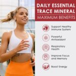 Zinc Gummies + Copper, Selenium, Vitamin C & D3, Fermented Zinc Supplements for Women and Men with Elderberry for Daily Immune Support, Powerful Antioxidant, High Absorption, Vegan, Sugar Free, 2 Pack - Image 4