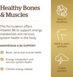 Solgar Magnesium with Vitamin B6, 250 Tablets - Promote Healthy Bone Mineralization, Support Nerve & Muscle Function, Energy Metabolism - Non-GMO, Vegan, Gluten Free, Dairy Free, Kosher - 83 Servings - Image 5