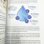Sustain Me， Spiral Bound， Sustain Me |Natural Healing Books and Comprehensive Guide to Sustainable Living - Image 6