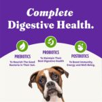Halo Holistic Plant-Based Recipe With Superfoods, Complete Digestive Health, Vegan Dry Dog Food Bag, Adult Formula, 21-lb Bag - Image 7