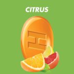 HALLS Defense Assorted Citrus Vitamin C Drops, Value Pack, 180 Drops - Image 2