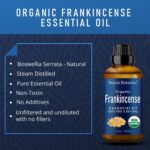 Organic Frankincense Essential Oil 30 ml - Pure Natural Boswellia Serrata for Diffusers, Aromatherapy, and Rejuvenating Skin & Hair Care - Nexon Botanics - Image 3