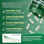 NAD Nicotinamide Riboside Resveratrol, Liposomal NAD Supplements for Women & Men, NMN Supplement Alternative, NAD Supplement - 100 Capsules - Image 4