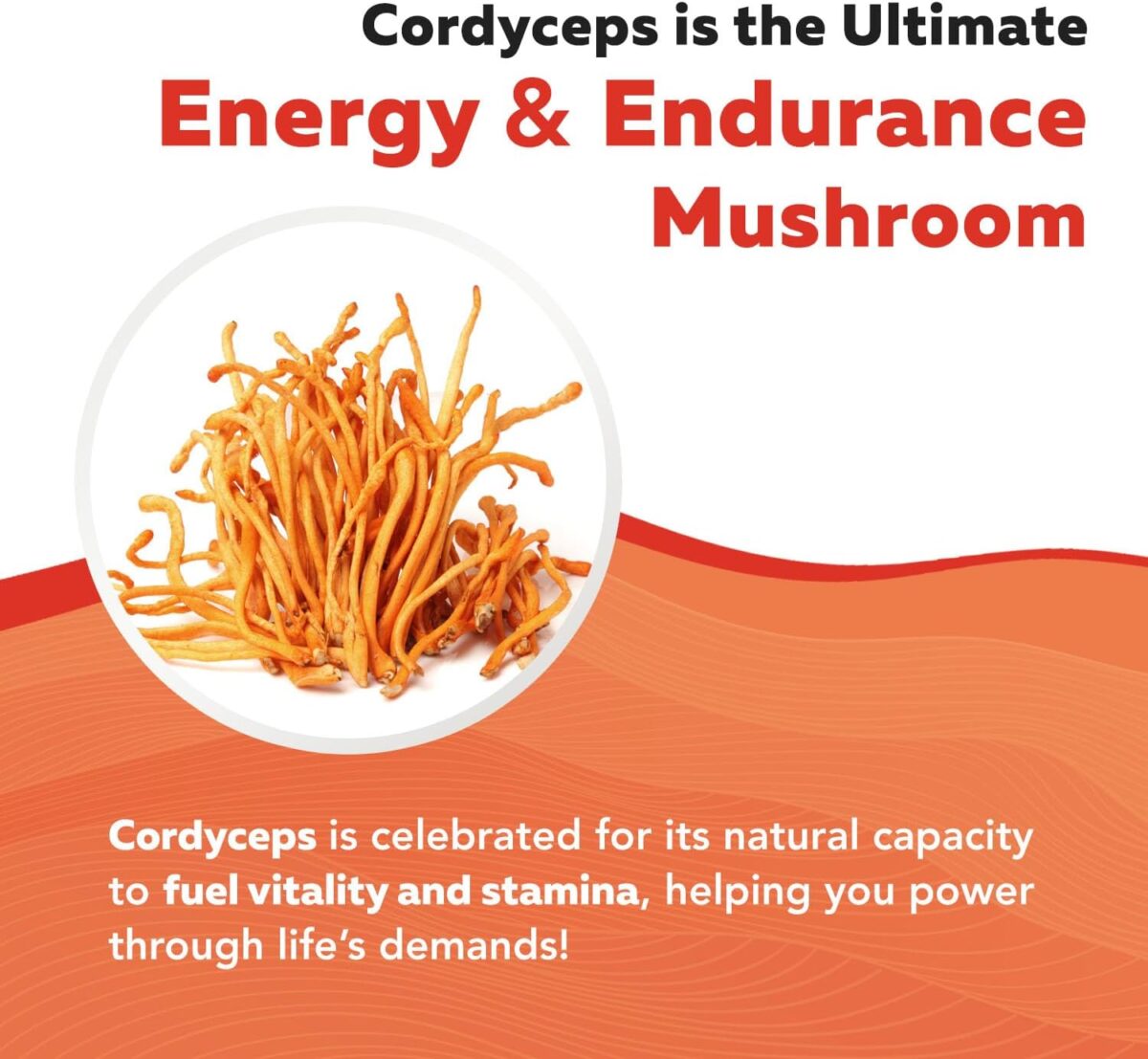 Organic Cordyceps Mushroom Extract - 70% Beta Glucans - Highest Active Nutrient Levels, Max Potency Cordyceps Capsules, US Grown + Ultrasonic Extraction - Performance, Immunity & Energy - 60 Capsules - Image 6