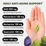 NMN Supplement Alternative - Liposomal Nad Supplements For Women Resveratrol Nad + Supplement w/ Berberine, Quercetin, Noni | Boosts Nad Anti-Aging, Brain Support, Gut Heath - 60 Capsules - Image 3