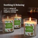 Magnificent 101 3 Long Lasting Pure Sage + Palo Santo Candles | 3.5 Oz Each - 42 Hour Burn | Natural, Organic Soy Candles for House Energy Cleansing & Manifestation Sage Smudge Kit Incense - Image 4