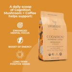 Lifeboost Cognition Adaptogenic Mushroom Coffee - Lions Mane & Chaga Nootropic Coffee - Great Tasting Medium Organic Coffee - Increase Energy, Boost Focus & Immune Support - 12 oz Bag - Ground - Image 4