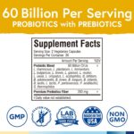 Terranics Probiotics 60 Billion CFU, 20 Strains, 60 Veg Capsules, Prebiotics & Probiotics, Shelf Stable Probiotic Supplement for Men & Women, Digestive & Immune Health, Non-GMO, NO Soy, Dairy & Gluten - Image 2