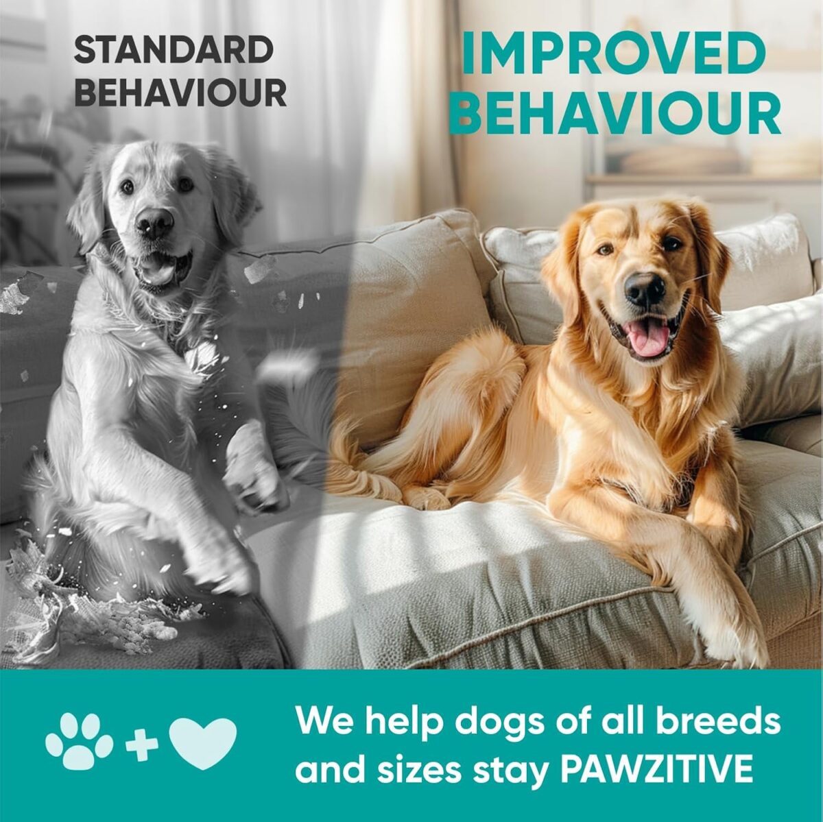 Hemp Calming Chews for Dogs - Dog Calming Chews for Anxiety Relief, Stress, Separation, Fireworks, Thunder, Travel, Vet Visits - USA Product - 120 Soft Treats with Melatonin, Chamomile, Passion Flower - Image 8