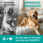 Hemp Calming Chews for Dogs - Dog Calming Chews for Anxiety Relief, Stress, Separation, Fireworks, Thunder, Travel, Vet Visits - USA Product - 120 Soft Treats with Melatonin, Chamomile, Passion Flower - Image 8
