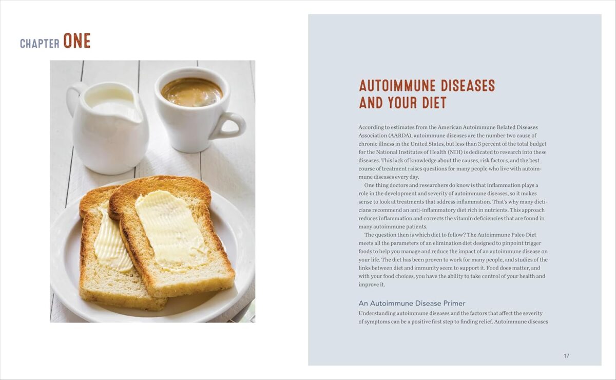 The Autoimmune Paleo Cookbook & Action Plan: A Practical Guide to Easing Your Autoimmune Disease Symptoms with Nourishing Food - Image 2