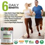 PlantVital Vegan Protein Powder Plant Based, Organic Protein Powder Chocolate, 24g/0g sugar, 12 Superfoods, Veggies, Probiotics, Raw Cocoa, Kale, Beets, Spirulina, Pea, Gluten-Free, Keto-Friendly,16oz - Image 2