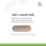 Terry Naturally Adaptra - Supplement to Support Adrenal Health - Ashwagandha Supplement with Rhodiola Rosea Extract - Herbal Supplement to Support Energy & Concentration - 60 Capsules (Pack of 2) - Image 4