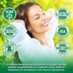 Zazzee Organic Spirulina Powder, 2.2 Pounds (1 KG), USDA Certified, 303 Servings, 100% Pure, Non-Irradiated, Mess-Free Wide Mouth Container, Fresh Smell and Neutral Taste, Vegan, Non-GMO, Gluten-Free - Image 4