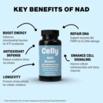 NAD Booster | Longevity Supplement for Healthy Aging with NR (Nicotinamide Riboside) and Nicotinamide | Promotes Cell Function & Vitality | Non-GMO & 3rd Party Tested - Image 3