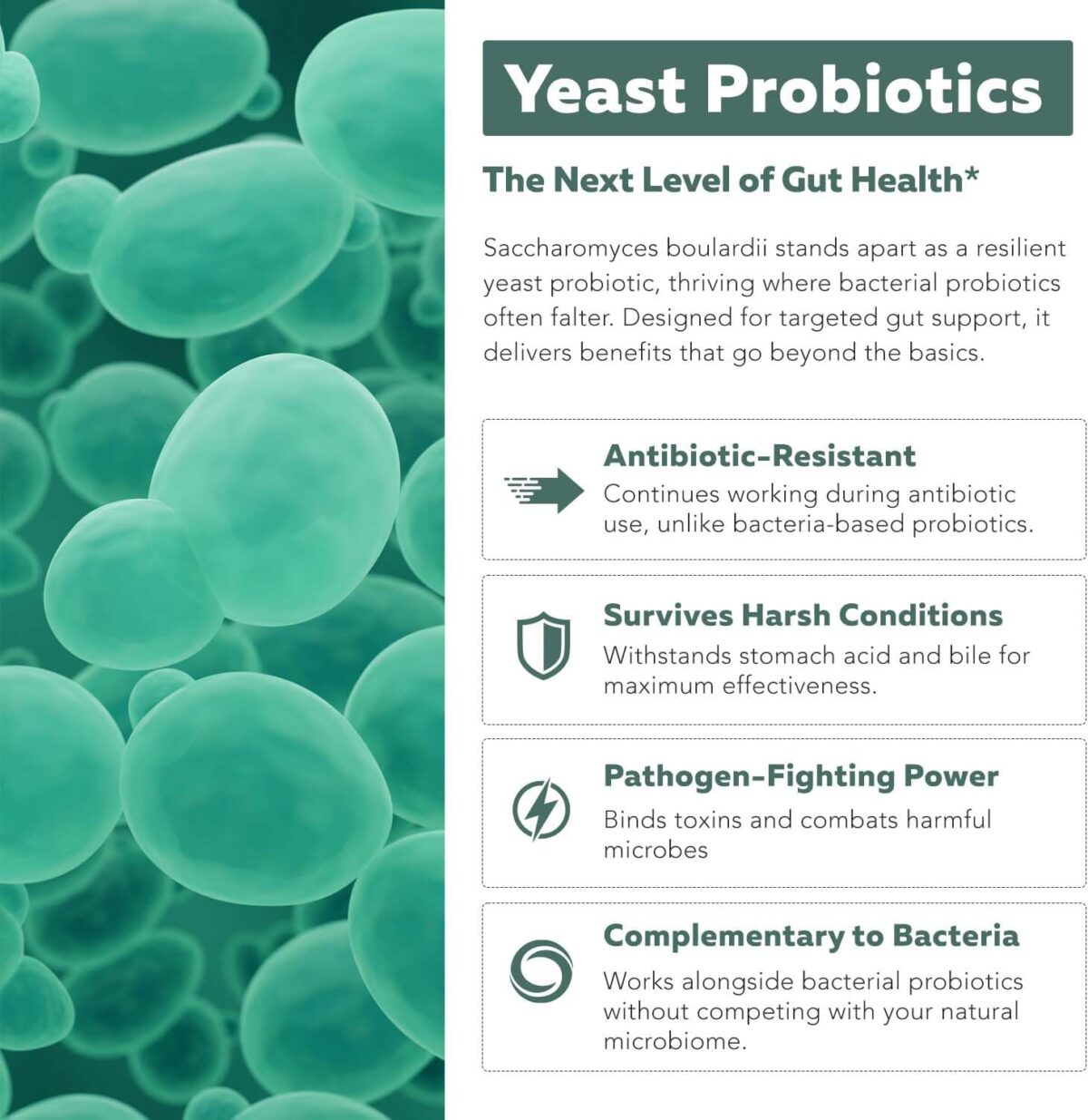 Organic Saccharomyces Boulardii - 10 Billion CFU - Clinically Validated CNCM I-1079 Probiotic Strain - Gut, Digestion & Healthy Bowel Support - First Organic Form of S. Boulardii Probiotic - 60 Count - Image 6