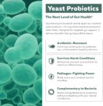 Organic Saccharomyces Boulardii - 10 Billion CFU - Clinically Validated CNCM I-1079 Probiotic Strain - Gut, Digestion & Healthy Bowel Support - First Organic Form of S. Boulardii Probiotic - 60 Count - Image 6
