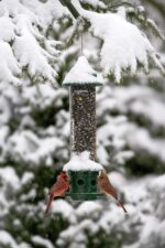 Squirrel Buster Plus Squirrel-proof Bird Feeder w/Cardinal Ring and 6 Feeding Ports, 5.1-pound Seed Capacity, Adjustable, Pole-mountable (POLE ADAPTOR SOLD SEPARATELY), Green - Image 11