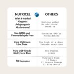 Methylene Blue (USP Grade) 1 Bottle 50 Capsules, with Mushroom Extracts: Lion's Mane, Reishi, Cordyceps, Chaga, Shiitake, Turkey Tail - Image 3