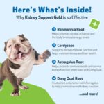 Pet Wellbeing Kidney Support Gold for Dogs - Supports Healthy Kidney Function, Fluid Balance, Energy Levels, Rehmannia, Dong Quai - Veterinarian-Formulated Herbal Supplement 4 oz (118 ml) - Image 6