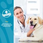 NaturVet Quiet Moments Calming Aid Dog Supplement – Helps Promote Relaxation, Reduce Stress, Storm Anxiety, Motion Sickness for Dogs – Tasty Pet Soft Chews with Melatonin – 65 Ct. - Image 6