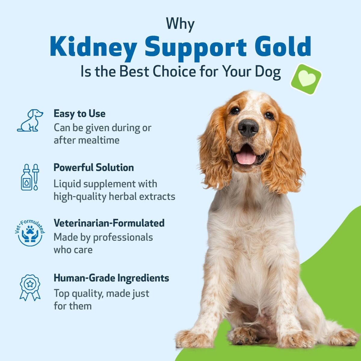Pet Wellbeing Kidney Support Gold for Dogs - Supports Healthy Kidney Function, Fluid Balance, Energy Levels, Rehmannia, Dong Quai - Veterinarian-Formulated Herbal Supplement 4 oz (118 ml) - Image 5