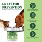 Green Lipped Mussel Powder for Dogs & Cats - 100% New Zealand Green Lipped Mussels - Natural Hip & Joint Supplement for Joints, Tendons, Ligaments, Muscles - 300 Grams - Up to 1,000 Servings - Image 3