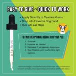 Heal - Seizure Relief, Autoimmune & Cushing's Support - Add to Dog’s Gums or Food for Overall Wellness - 100% Natural Support for Your Canine with Our Hemp Oil for Dogs - Image 2