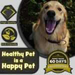 H&H Pets Bamboo Toothbrush Set for Dogs and Cats - Ultra Soft Bristles & Biodegradable Wooden Toothbrush, Puppy Supplies, Dog Dental Set, Eco-Friendly Pet Supplies (Large; 8-Count Pack) - Image 6