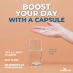ForestLeaf Multi Collagen Pills with Hyaluronic Acid + Vitamin C | Hydrolyzed Collagen Supplements for Women or Men | Multi Collagen Capsules Peptides for Skin, Wrinkles, 120 Caps - Image 6