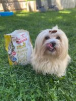 Tender & True Small Breed Organic Turkey & Oats - Image 4