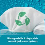 Medline ReadyFlush Flushable Wipes (60 Wipes per Tub), Scented, Biodegradable Flushable Incontinence Wet Wipes for Adults with Aloe, Hypoallergenic & pH-Balanced Personal Cleansing Cloths - Image 4