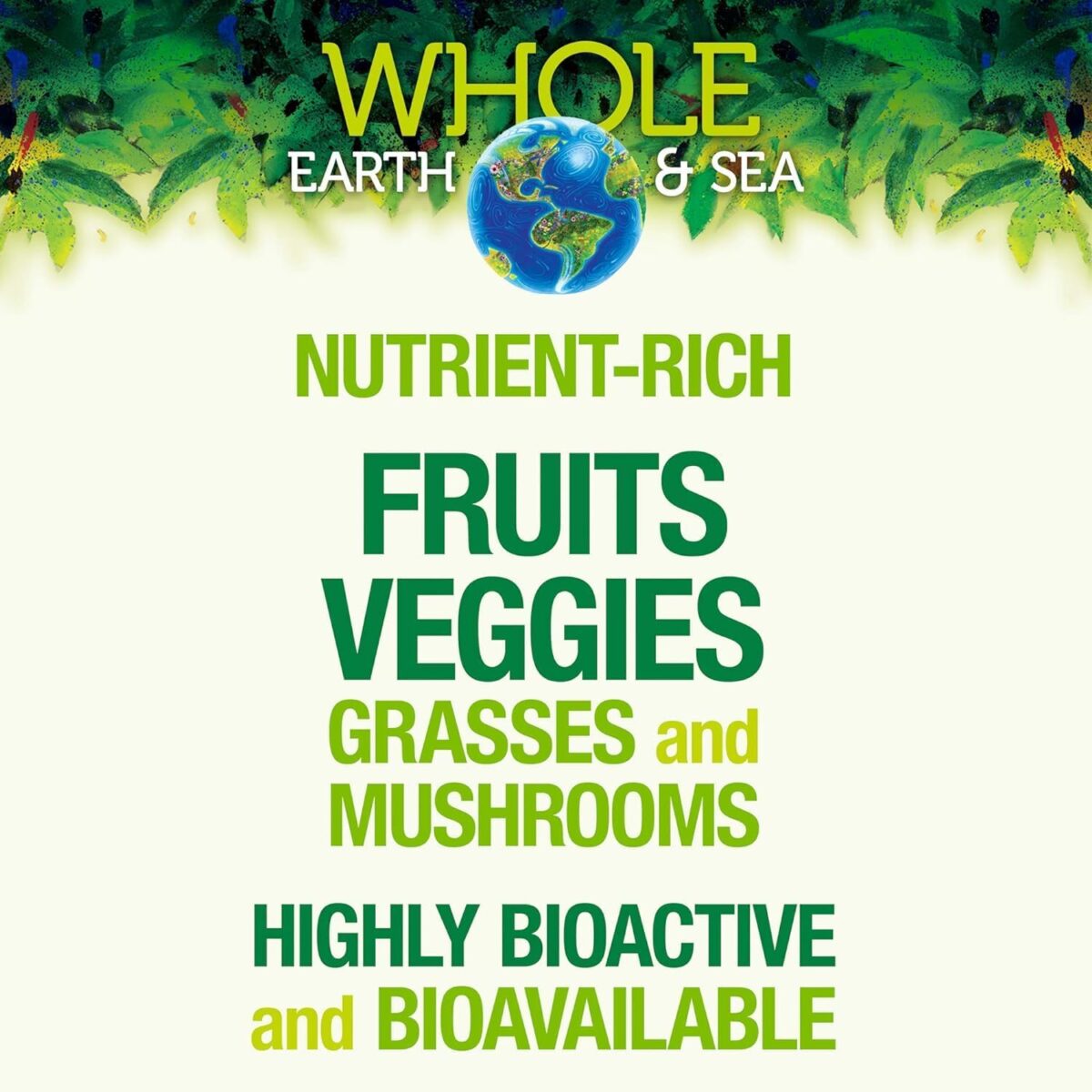 Whole Earth & Sea from Natural Factors, Organic Fermented Protein & Greens, Vegan Whole Food Supplement, Tropical, 1lb 7.3 Oz - Image 5