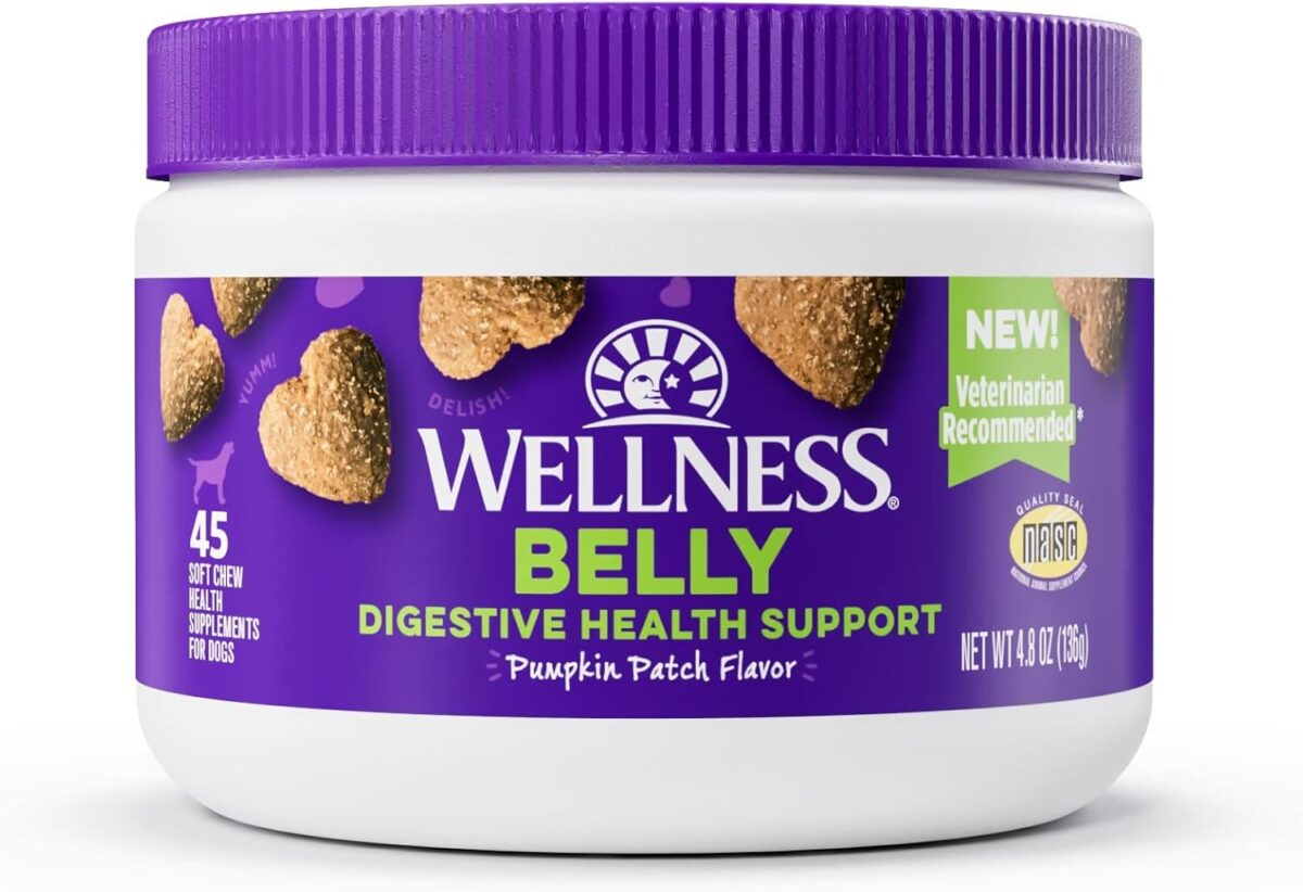Wellness Pumpkin Patch Flavored Soft Chew Digestive Health Supplements for Dogs, 45 Count - Image 1