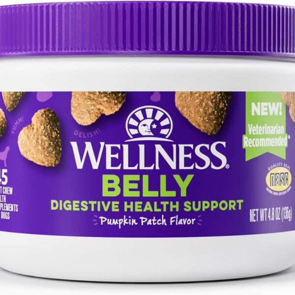 Wellness Pumpkin Patch Flavored Soft Chew Digestive Health Supplements for Dogs, 45 Count