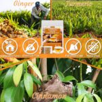 120 Premium Turmeric, Ginger, Cinnamon Blend Tea Bags, 100% Natural & No Additives & Caffeine Free. - Image 4