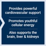 Life Extension Super Ubiquinol CoQ10 with Enhanced Mitochondrial Support, ubiquinol CoQ10, shilajit, potent heart health & cellular energy production support, ultra-absorbable, gluten-free, 60 softgel - Image 3