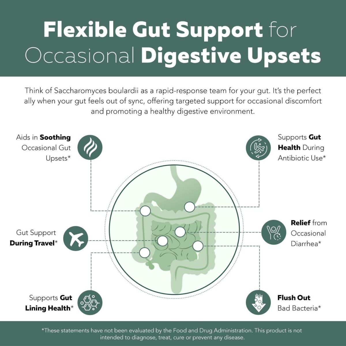 Organic Saccharomyces Boulardii - 10 Billion CFU - Clinically Validated CNCM I-1079 Probiotic Strain - Gut, Digestion & Healthy Bowel Support - First Organic Form of S. Boulardii Probiotic - 60 Count - Image 4