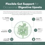 Organic Saccharomyces Boulardii - 10 Billion CFU - Clinically Validated CNCM I-1079 Probiotic Strain - Gut, Digestion & Healthy Bowel Support - First Organic Form of S. Boulardii Probiotic - 60 Count - Image 4