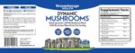 Stonehenge Health Dynamic Mushrooms - 100% Fruiting Bodies & Extracts - Lion’s Mane, Chaga, Maitake, Shiitake, Reishi - Nootropic Brain & Immune System Support - No Mycelium - 60 Veggie Capsules - Image 2